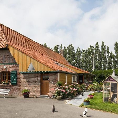 하제브루크 Gite De La Ferme Des Crins Blancs 빌라 외부 사진