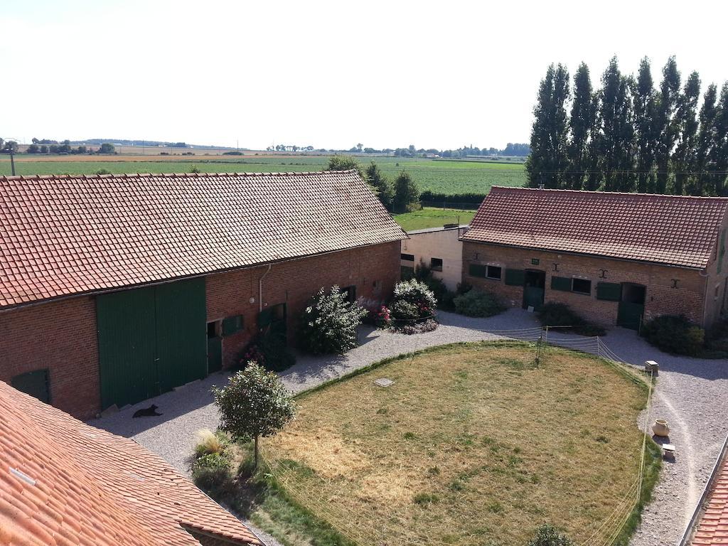 하제브루크 Gite De La Ferme Des Crins Blancs 빌라 객실 사진