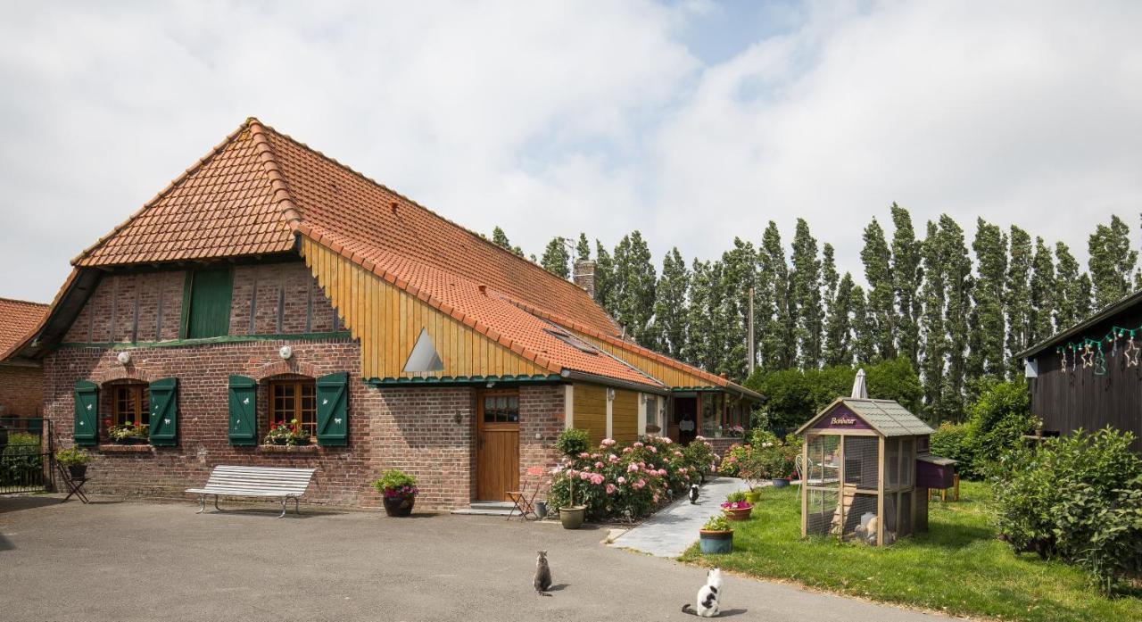하제브루크 Gite De La Ferme Des Crins Blancs 빌라 외부 사진